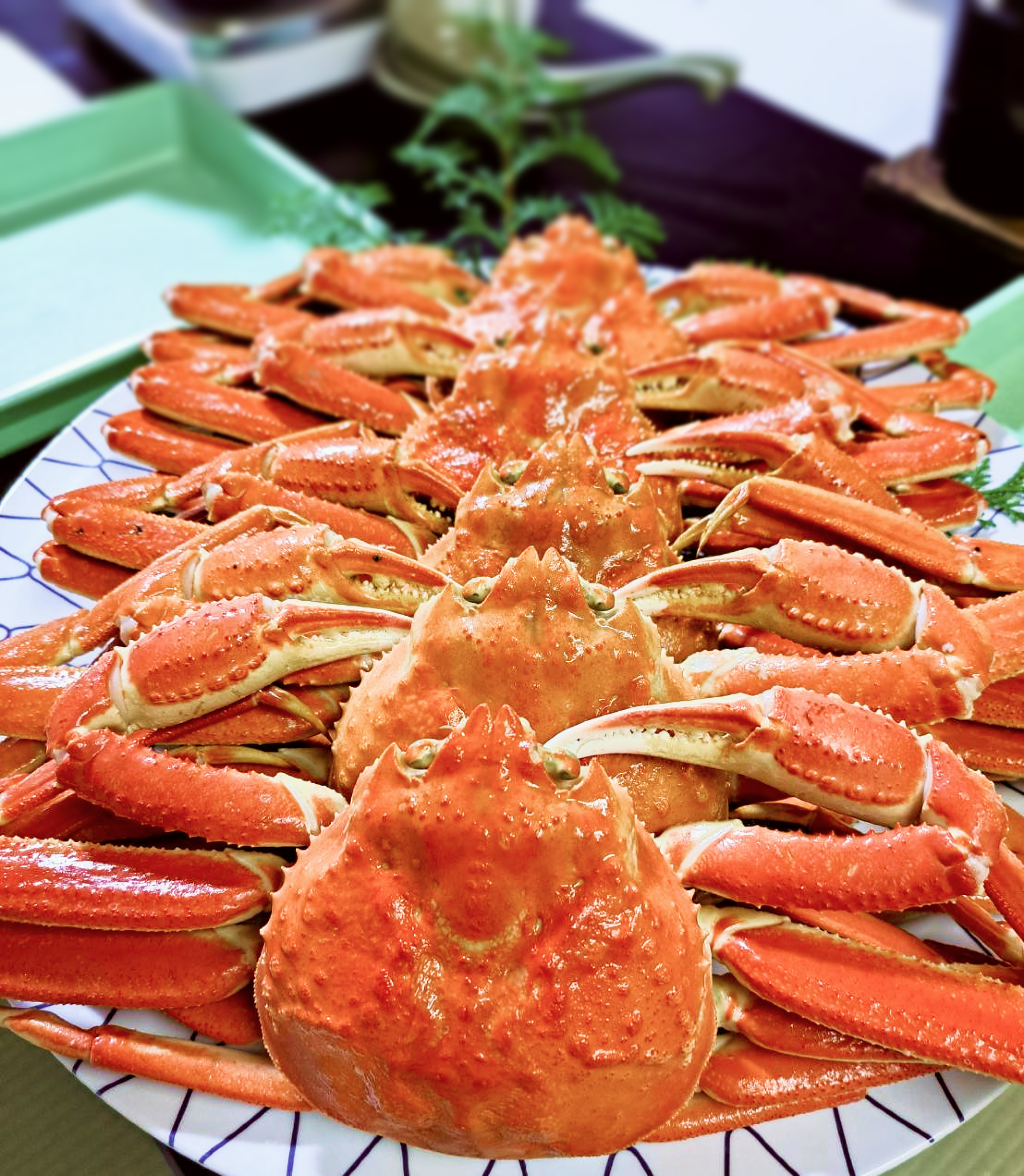 京都北部カニ料理